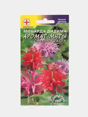 Монарда Аромат мяты смесь (семена,цветы)