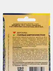 Вероника Голубая Широколистная, семена, цветы