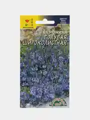 Вероника Голубая Широколистная, семена, цветы