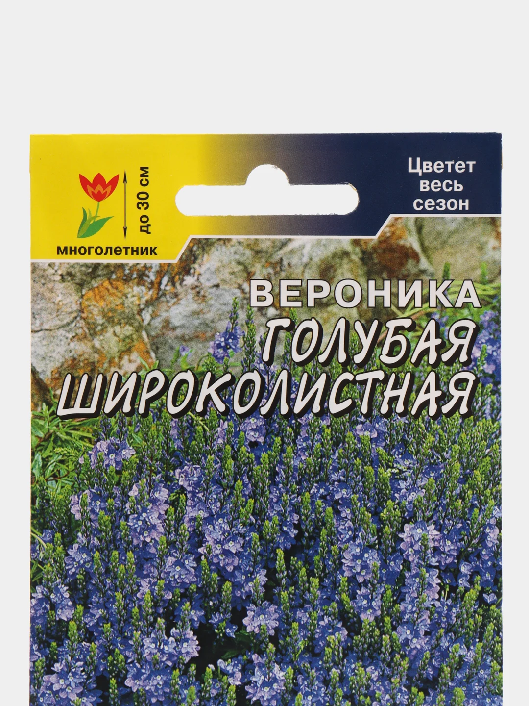 Вероника Голубая Широколистная, семена, цветы