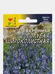 Вероника Голубая Широколистная, семена, цветы
