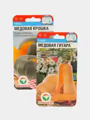 Семена Тыква "Медовая гитара" и тыква "Медовая крошка"