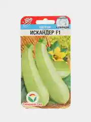 Семена,Кабачок Искандер,3 шт