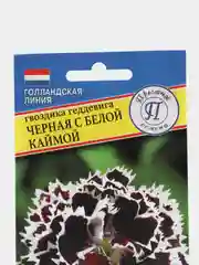 Семена Гвоздика Геддевига черная с белой каймой, ООО "Престиж-семена"