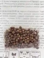 Семена Кориандр "Санто"