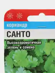 Семена Кориандр "Санто"