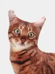 Терракотовый мягкая подушка Кошка/Кот, реалистичная