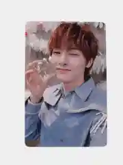 Ледяной карточки Stray Kids, THE SOUND 8 штук
