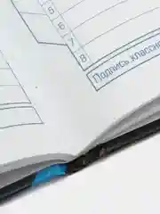 Молочный дневник школьный в твердой обложке