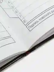Рыжий дневник школьный в твердой обложке