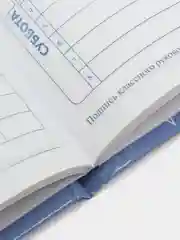 Синий дневник школьный для младших классов