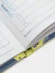 Алый дневник школьный для младших классов