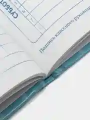 Серый дневник школьный для младших классов