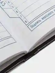 Хром дневник школьный в твердой обложке