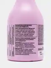 Natura Siberica Hair Evolution Шампунь для волос "Восстановление и защита", 250 мл