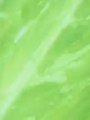 Лайм коврик пляжный круглый 150*150