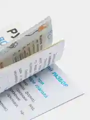 Русский язык. Все виды разбора для начальной школы
