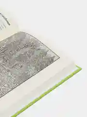 Найди преступника. Призрак замка Ойленмор