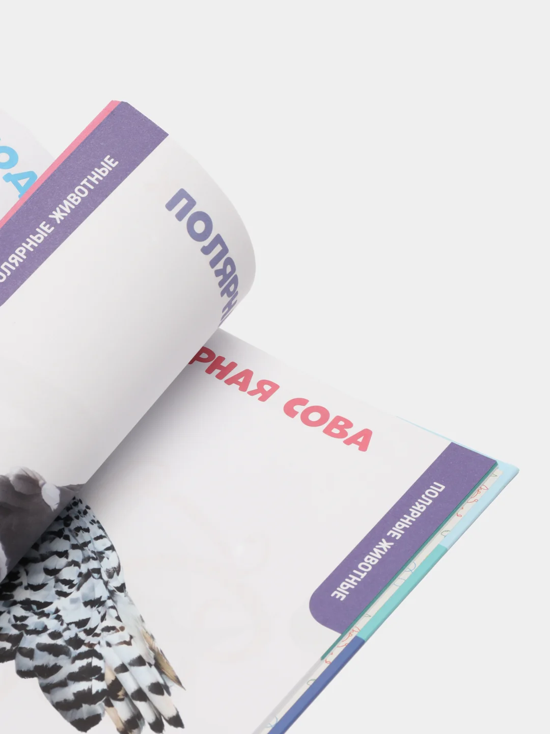 Голубой детские развивающие книги "Главная книга малыша", 96 страниц, Проф-пресс