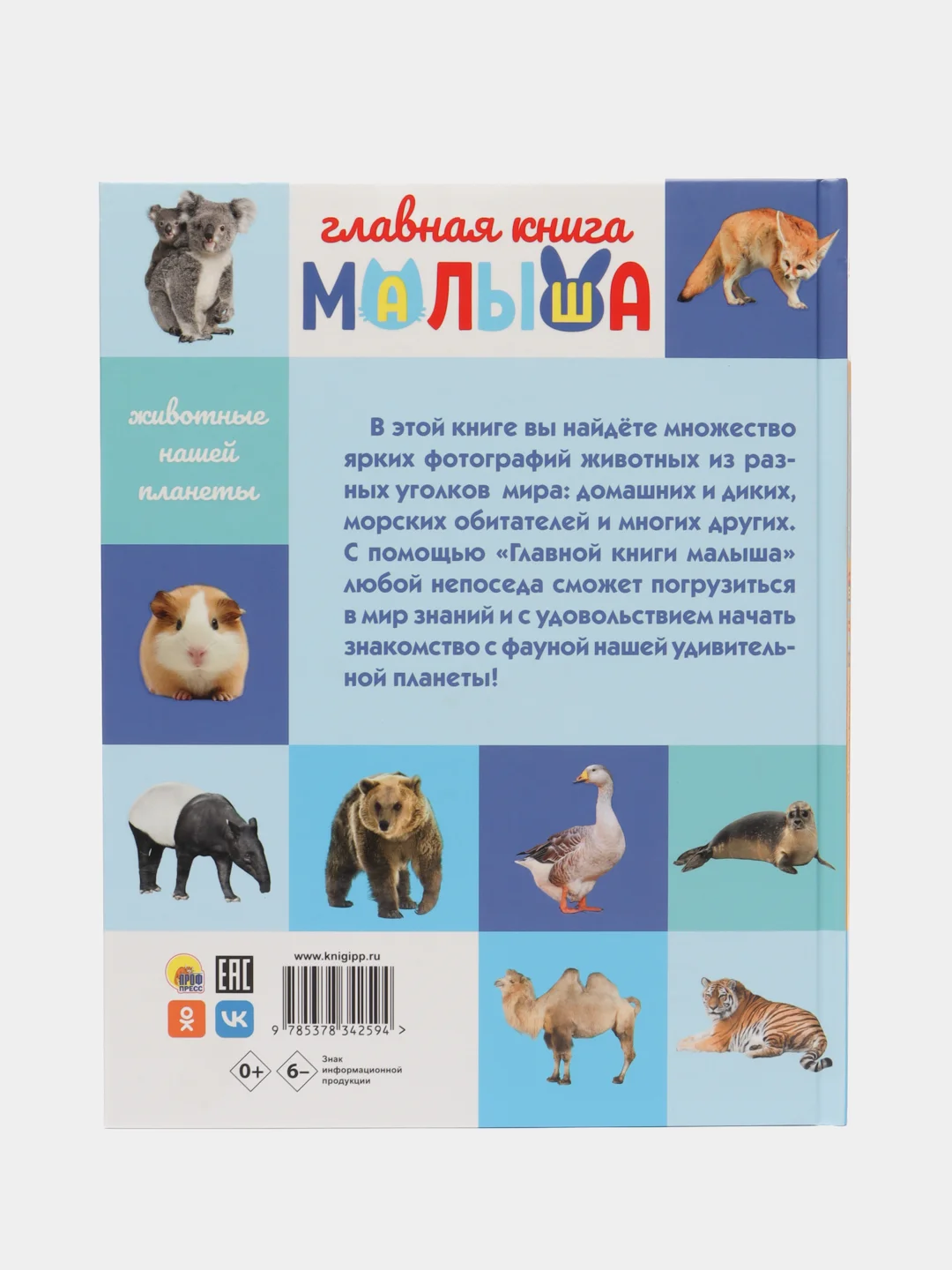 Голубой детские развивающие книги "Главная книга малыша", 96 страниц, Проф-пресс