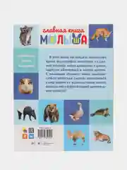 Голубой детские развивающие книги "Главная книга малыша", 96 страниц, Проф-пресс