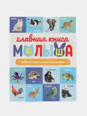 Голубой детские развивающие книги "Главная книга малыша", 96 страниц, Проф-пресс