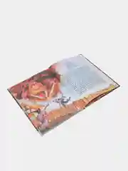 Сказки о ведьмах и колдунах