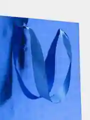 Синий пакет, 33 х 26 х 11 см, голография, 200897873