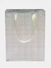 Серебряный пакет бумажный, 24*18*9 см, голография, 200897872