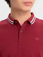 Вишнёвый футболка поло мужская