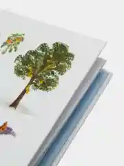 Деревья и кустарники