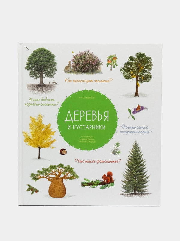 Деревья и кустарники