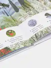 Деревья и кустарники