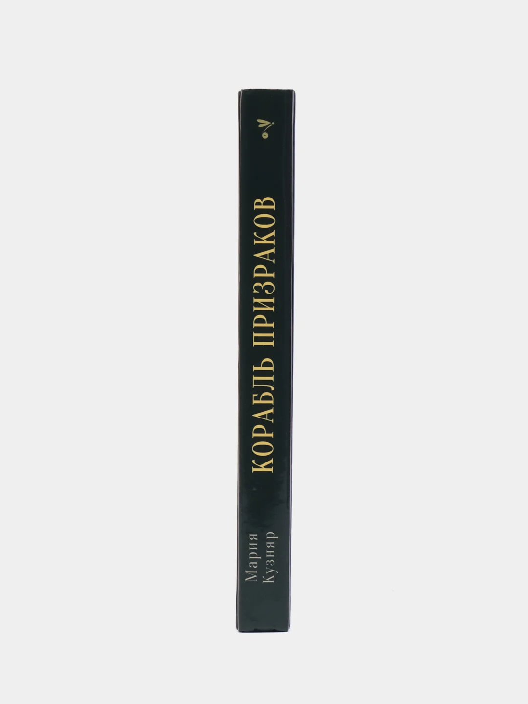 Книга для подростков "Корабль призраков"