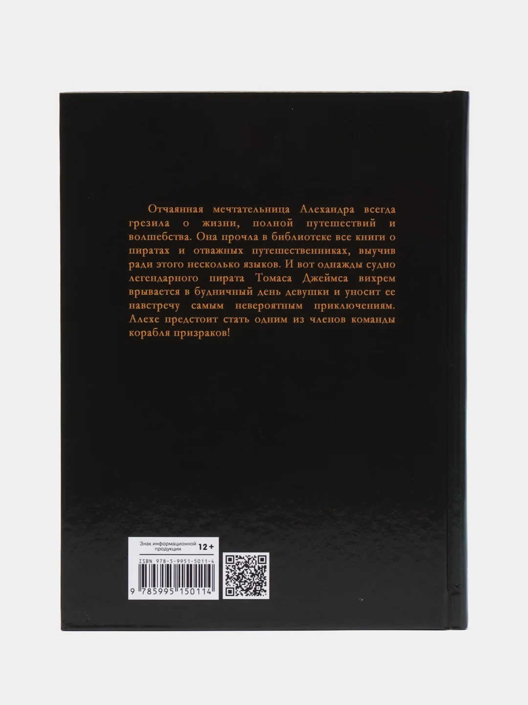 Книга для подростков "Корабль призраков"