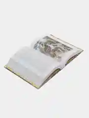 "Книга для подростков. Три мушкетера"
