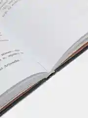 Грифоны. Орден драконов. Книга 2