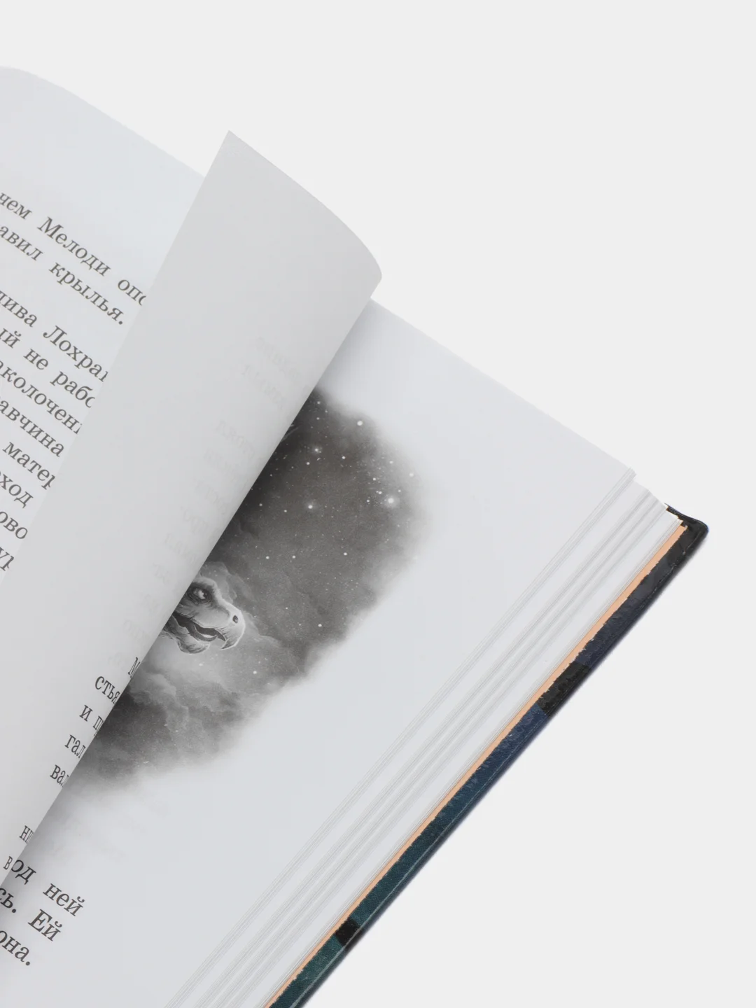 Грифоны. Орден драконов. Книга 2