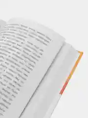 Полная Библиотека внеклассного чтения. Перро, Гофман, Гримм, Гауф, Андерсен