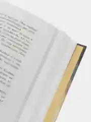 "Мастер механических сердец" книга для подростков