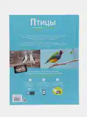 Энциклопедии c фото и видео приложениями "Птицы"