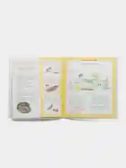 Насекомые и другие маленькие животные