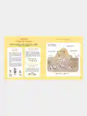 Насекомые и другие маленькие животные