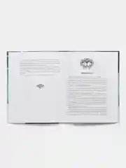Грифоны. Проклятие рыцаря дракона. Книга 4