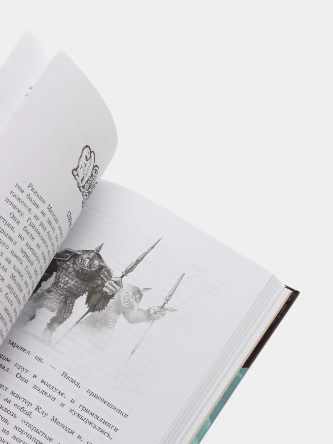 Грифоны. Проклятие рыцаря дракона. Книга 4