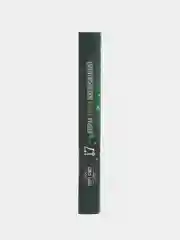 Вторая книга воспоминаний, фэнтези, серия "17"