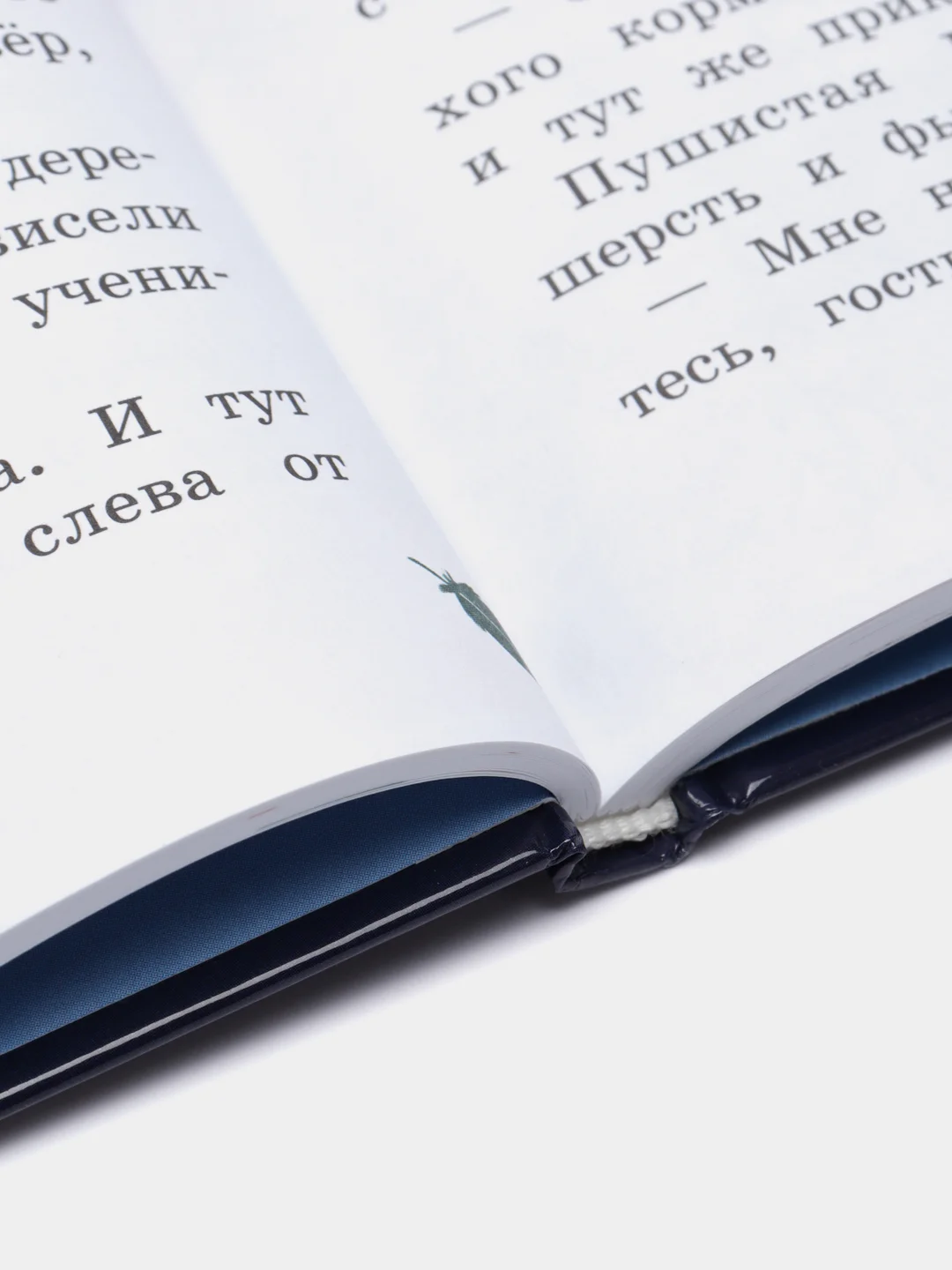 Волшебная сова и К. Секрет шкатулки. Книга 3