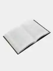 Офелия Скейл. Весь мир в огне. Книга для подростков