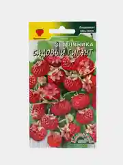 Земляника Садовый гигант (семена)