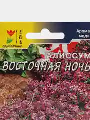 Алиссум Восточная ночь, семена, цветы